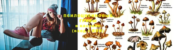 спайс Михайловск