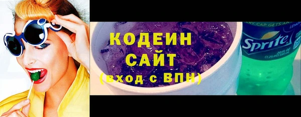 шишки Богородицк