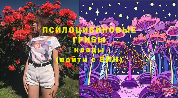 МДПВ Мегион