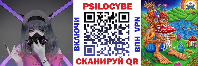наркота  Рыльск  Псилоцибиновые грибы Psilocybine cubensis 